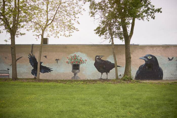 mural on a wall with crows on it