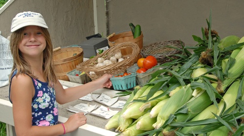 Auburn Farmer’s Market Image