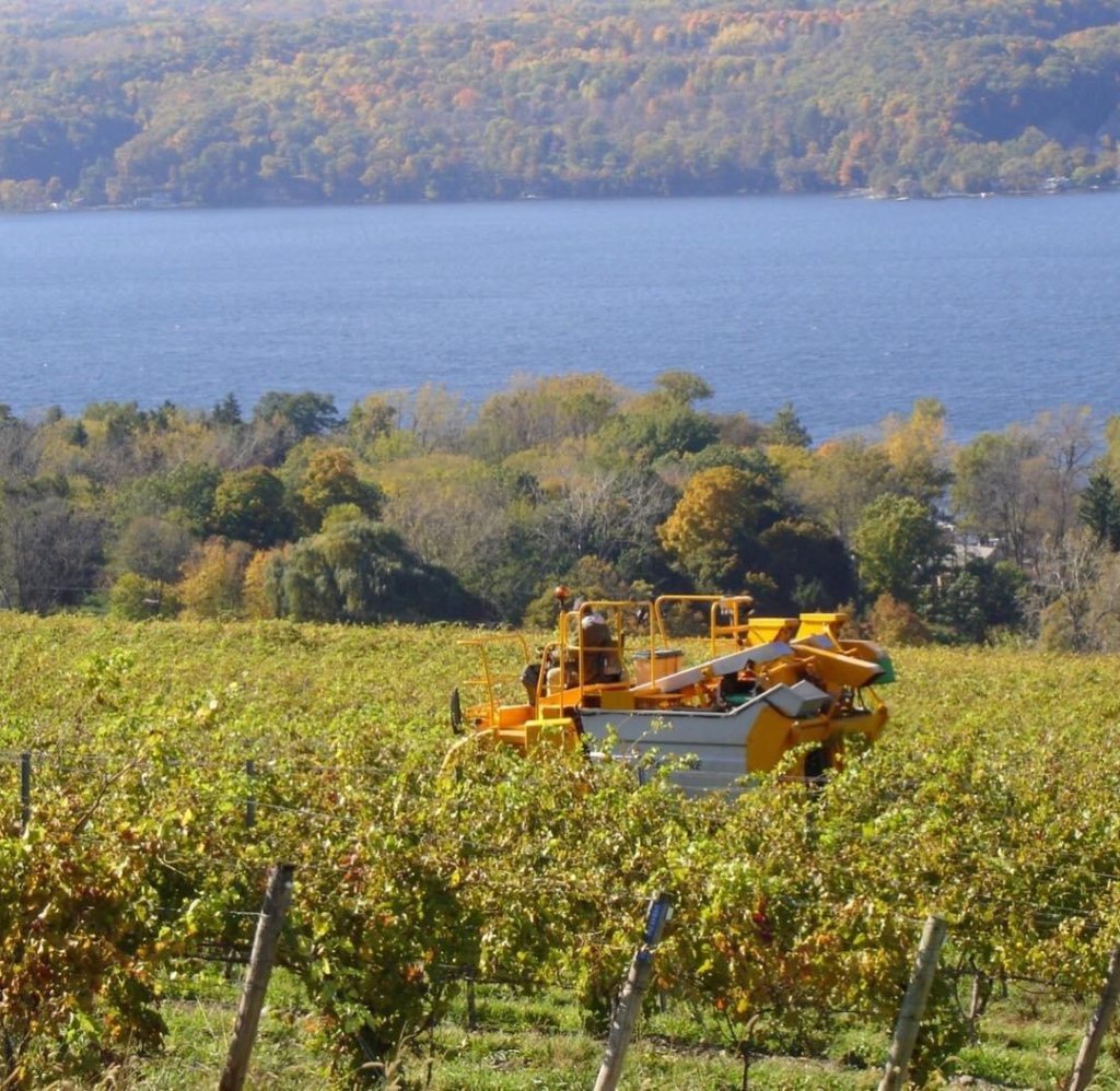 Raise a Glass: Your Guide to the Finger Lakes’ Award-Winning Wine Scene