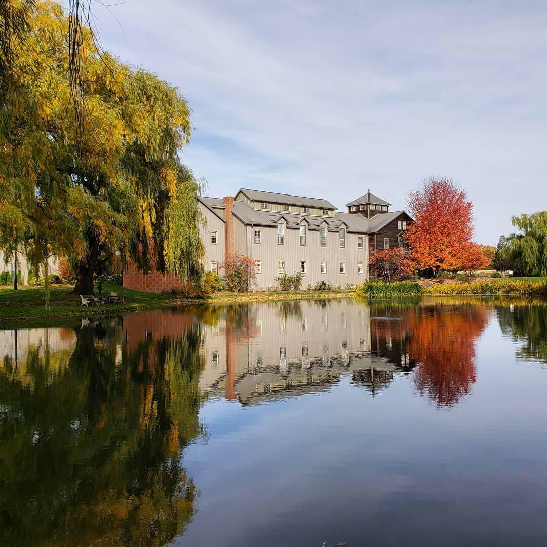 Discover Luxury and Wellness in New York’s Finger Lakes Region 