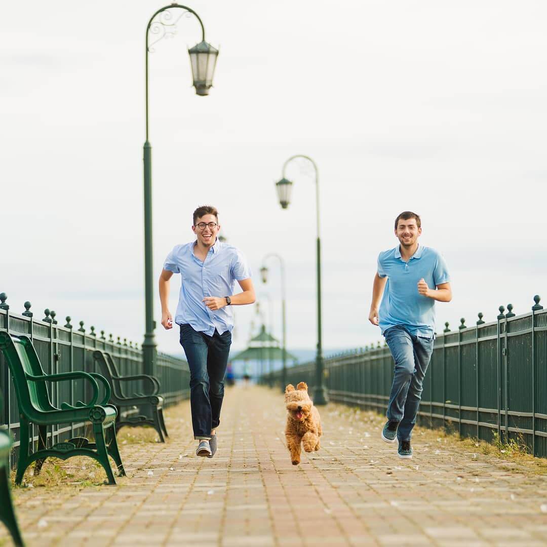 Bring Your Best Friend: A Pet-Friendly Guide to Cayuga County