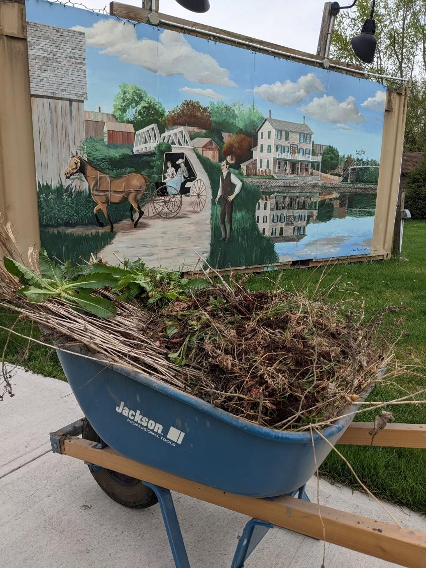 Earth Month in Cayuga County 2026