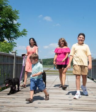 Two women and two young boys walk their dogs on a wooden boardwalk.