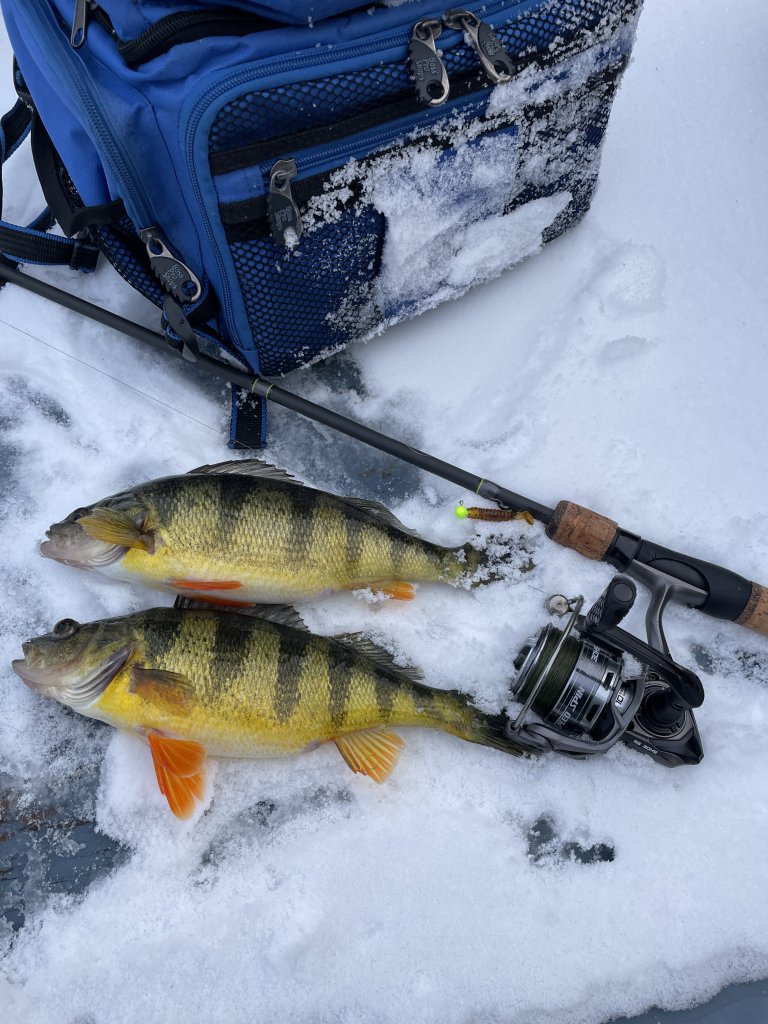Wintertime is Ice Fishing Season in Cayuga County Featured image